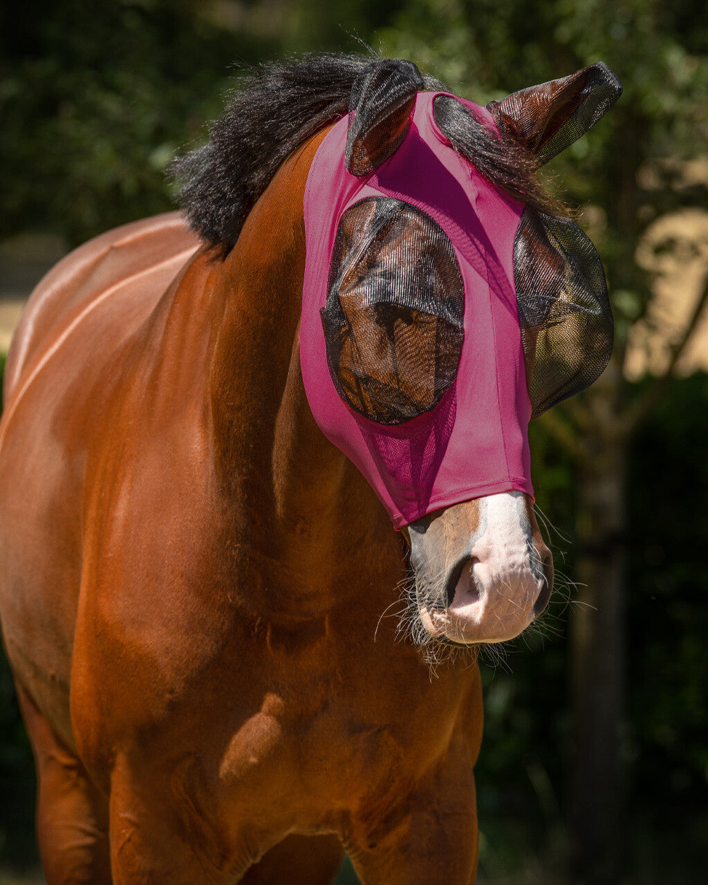 MASCHERA ANTIMOSCHE QHP IN LYCRA CON ZIP
