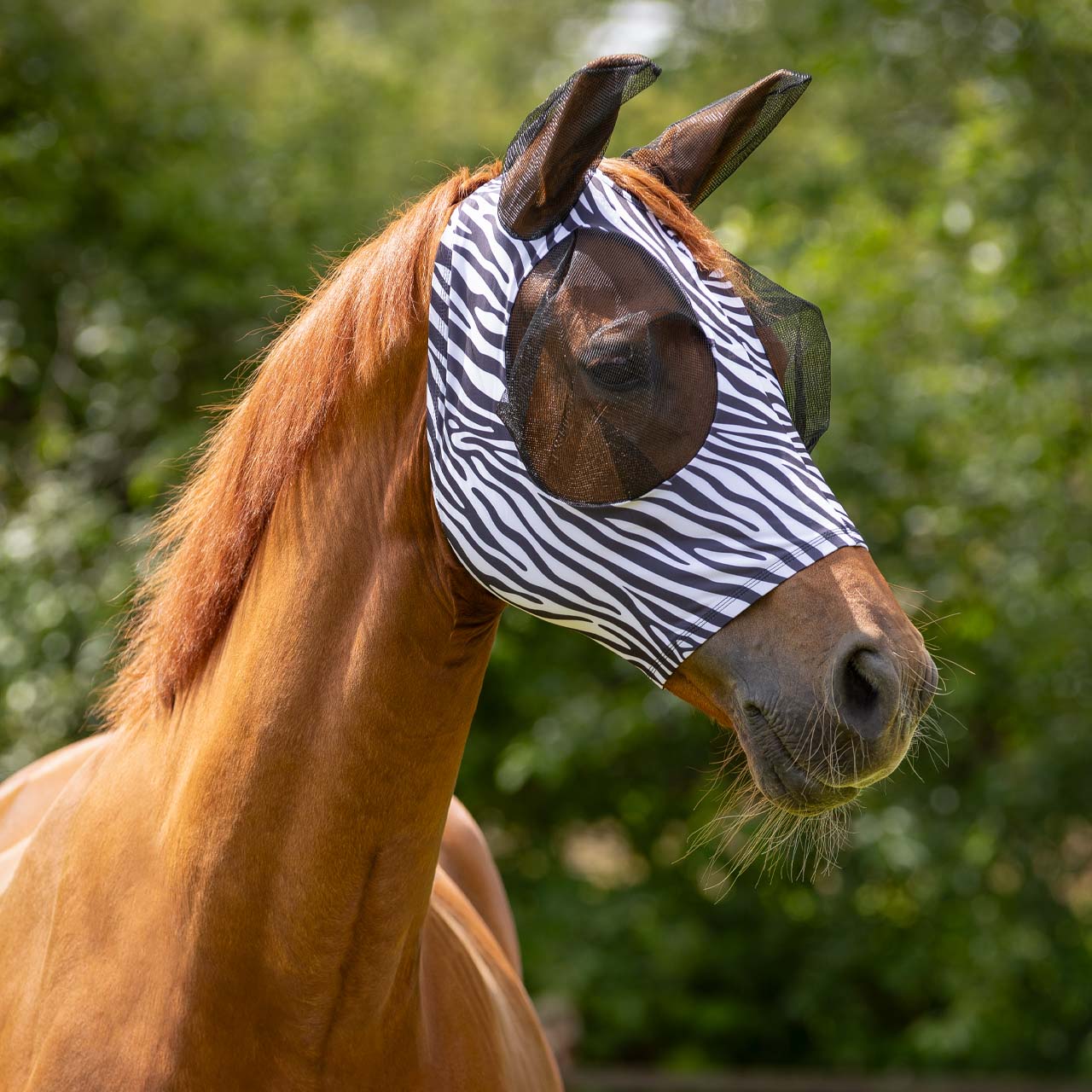 MASCHERA ANTIMOSCHE QHP IN LYCRA CON ZIP