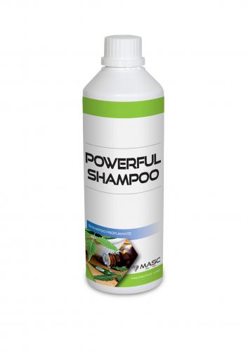POWERFULL SHAMPOO MASC 500ML