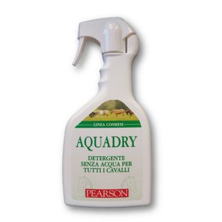 AQUADRY SHAMPOO A SECCO PEARSON (700 ML)