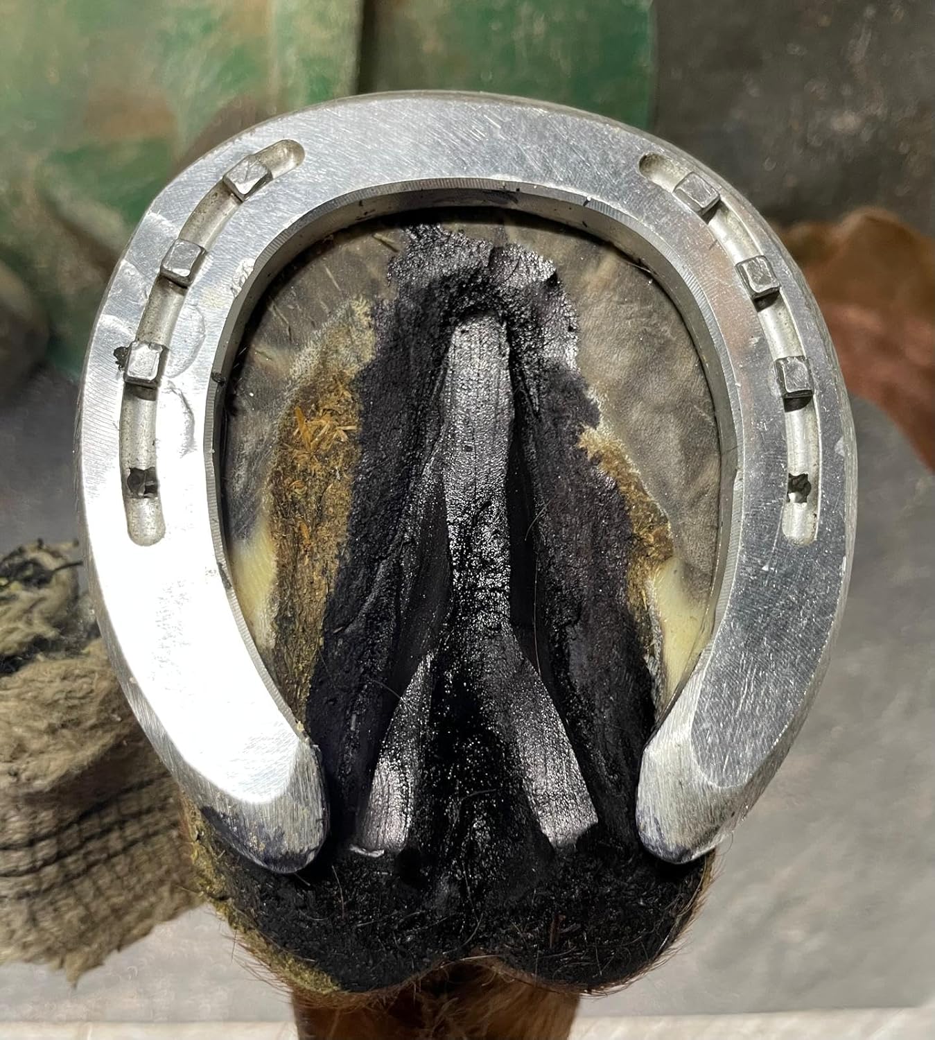 SOS-FROG IGIENIZZANTE PER IL FETTONE (500 ML)