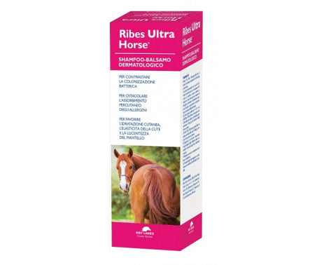 SHAMPOO DERMATOLOGICO RIBES ULTRA (1 LT)