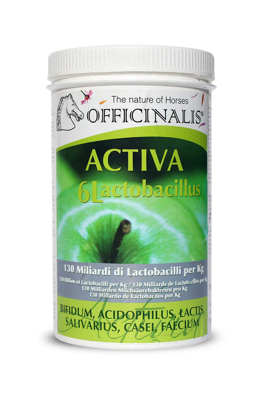 RIEQUILIBRATORE FLORA BATTERICA ACTIVA 6L OFFICINALIS