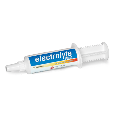 ELECTROLYTE PLUS FM ITALIA (10G)