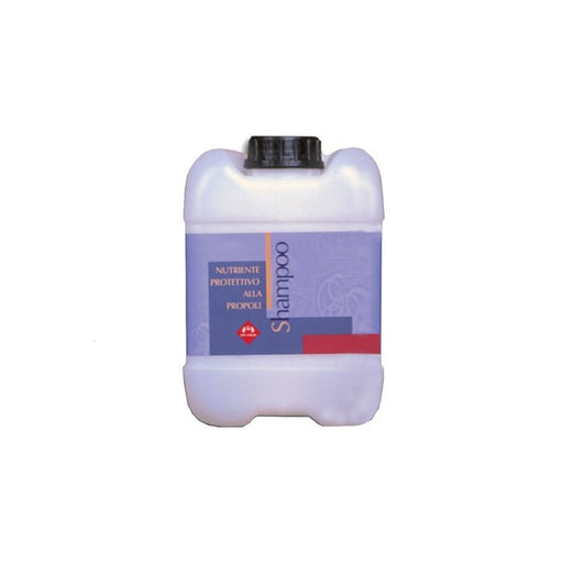 RICARICA SHAMPOO NUTRIENTE PROTETTIVO FM ITALIA (5L)