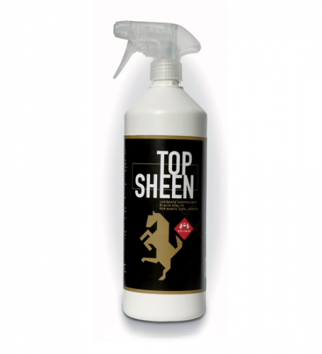 TOP SHEEN SPRAY FM ITALIA 1000 ml
