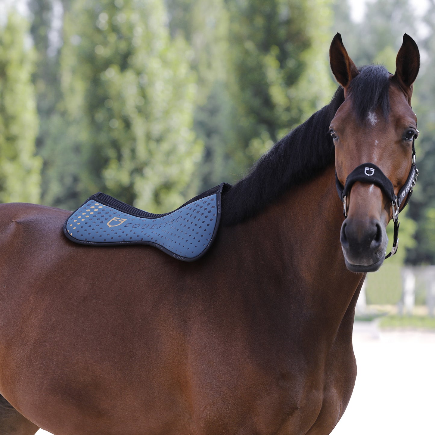 COMPENSATORE EQUESTRO TESSUTO TRAFORATO SUL GARRESE MEMORY FOAM CON GRIP LOGO GIALLO