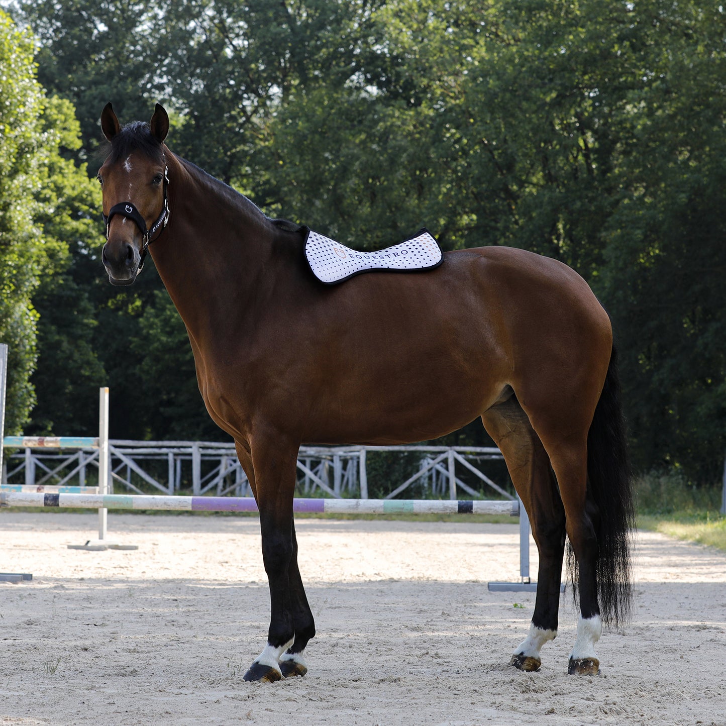 COMPENSATORE EQUESTRO TESSUTO TRAFORATO SUL GARRESE MEMORY FOAM CON GRIP LOGO GIALLO