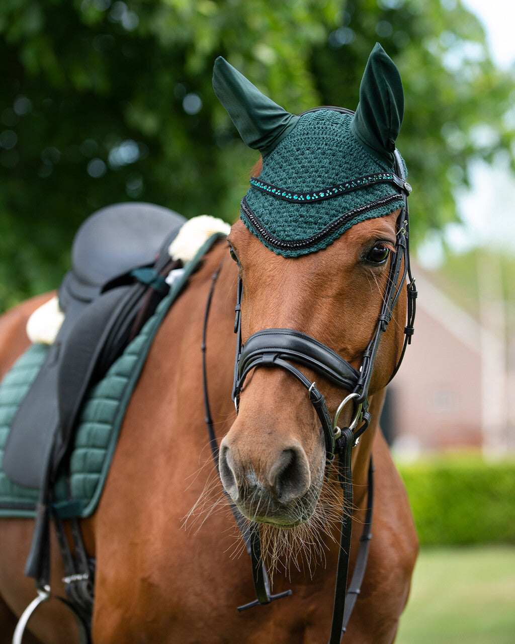 FRONTALINO QHP MODELLO ASTANA