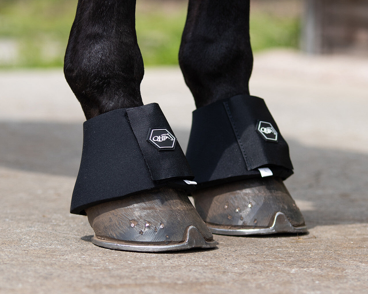 PARAGLOMI QHP IN NEOPRENE