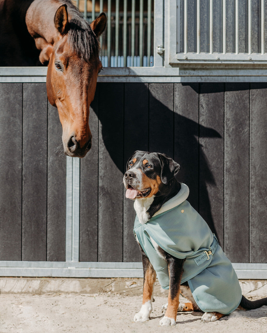 COPERTA PER CANE QHP DREAM COLLECTION
